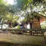 志幸八幡神社 本殿3