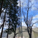 三若町 厳島神社 サイレン塔