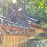 三良坂町 八幡神社 本殿